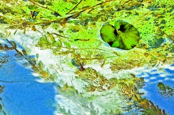 N 056D